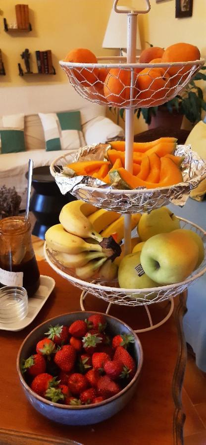 Hotel Le Siecle Mazan Zewnętrze zdjęcie